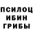 Псилоцибиновые грибы Psilocybine cubensis faris amrullah