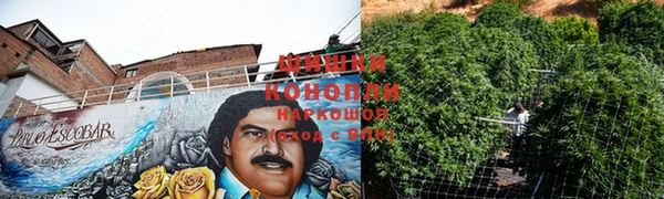 дживик Дмитриев