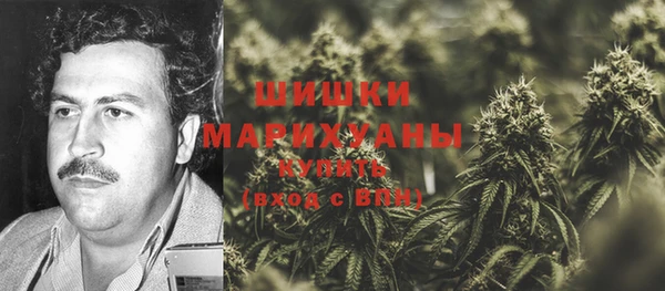 дживик Дмитриев