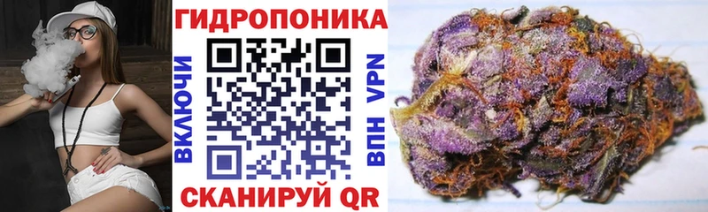 Каннабис ГИДРОПОН KRAKEN как зайти Павловск где можно купить наркотик